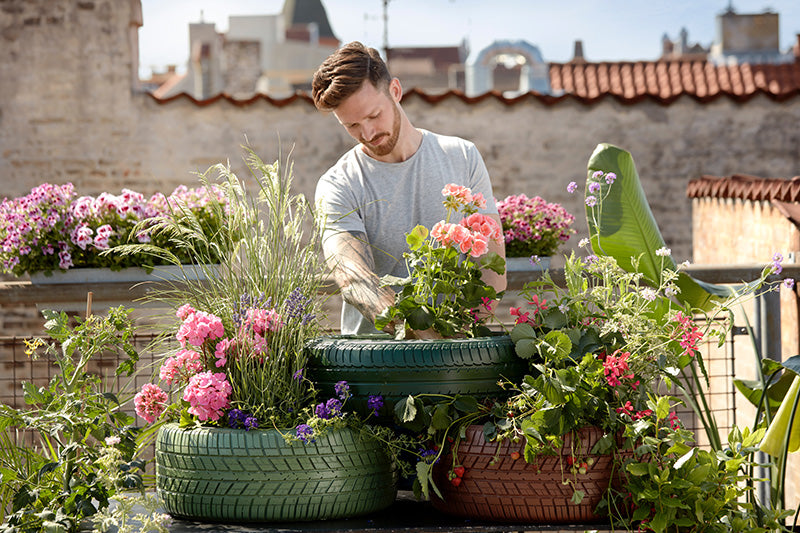 A man gardening in the summer sun