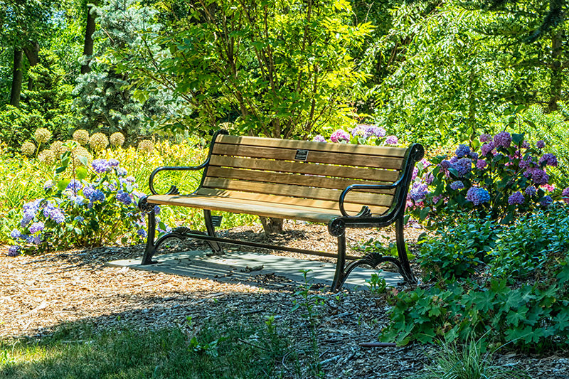 A sunny bench surrounded by greenery and flowers