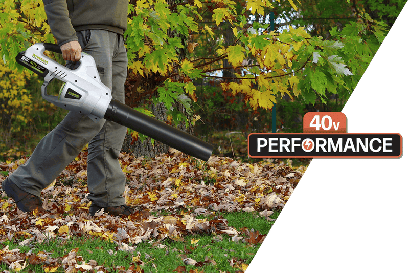 Man with leaf blower blowing leaves