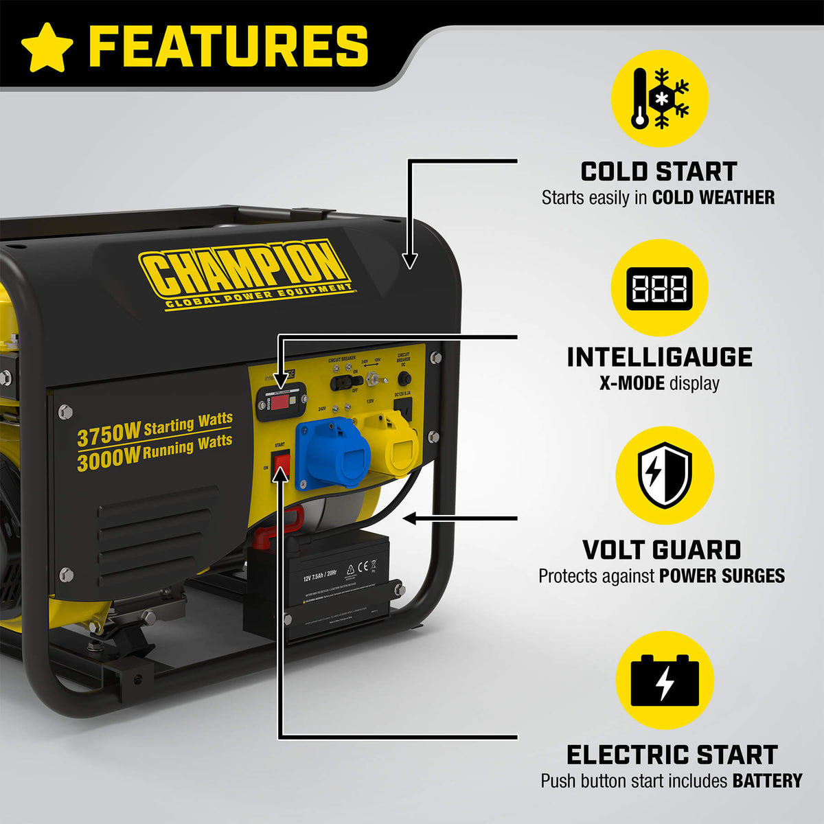 Champion 3500 Watt Petrol Generator